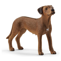 Schleich 13895 Zvířátko pes ridgback rhodéský