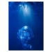 Fotografie Bubble on spot light in blue water, Biwa Studio, 30 × 40 cm