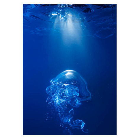 Fotografie Bubble on spot light in blue water, Biwa Studio, (30 x 40 cm)