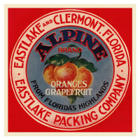 Obrazová reprodukce Alpine Brand Oranges & Grapefruits, Florida Crate Labels, 40 × 40 cm