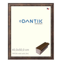 DANTIK rámeček 40 × 50, TRITON měď antik plexi čiré