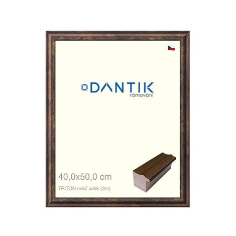 DANTIK rámeček 40 × 50, TRITON měď antik plexi čiré