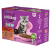 Whiskas Junior Klasický Výběr Ve Šťávě - 12x85g