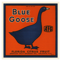 Obrazová reprodukce Blue Goose Brand, Florida Crate Labels, 40 × 40 cm