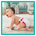 Pampers Premium Care Pants 6 EXTRA LARGE 15+ kg 31 ks