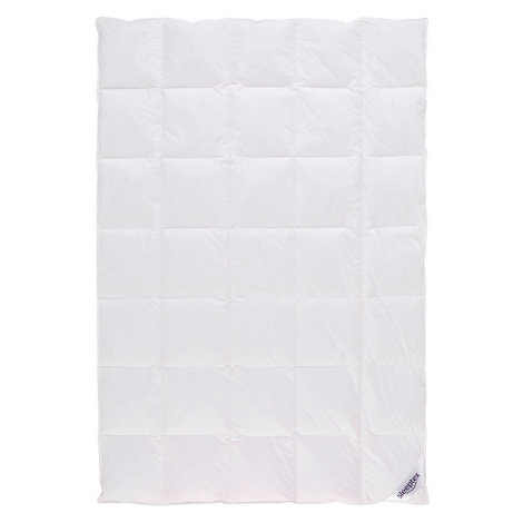 Sleeptex CELOROČNÍ PŘIKRÝVKA cm, peří, prachové peří