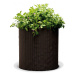 KETER Květináč Cylinder Planter M Brown