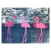 Obrazová reprodukce Flamingos, Thompson-Engels, Sarah, 40 × 30 cm