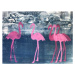 Obrazová reprodukce Flamingos, Thompson-Engels, Sarah, 40 × 30 cm