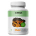 MycoMedica Chaga cps.90