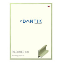 DANTIK rámeček 30 × 40, ALU profil 6035 Dýha barevný zelený pastel plexi čiré