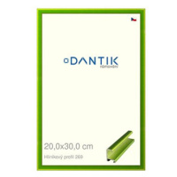 DANTIK rámeček 20 × 30, ALU profil 7269 Zelený Smaragd broušený sklo čiré