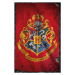 Plakát, Obraz - Harry Potter - Hogwarts, (61 x 91.5 cm)