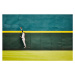 Fotografie Wide shot baseball player jumping for, Thomas Barwick, 40 × 26.7 cm