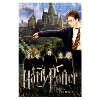 Umělecký tisk Harry Potter - Friends, 26.7 × 40 cm