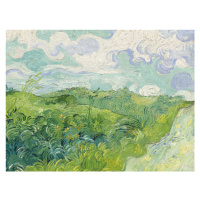 Obrazová reprodukce Green Wheat Fields, Vincent van Gogh, 40 × 30 cm