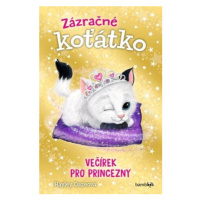 Zázračné koťátko - Večírek pro princezny - Dazeová Hayley