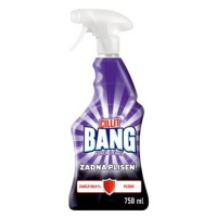 CILLIT BANG Spray Žádná plíseň 750 ml