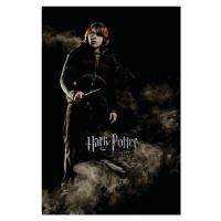 Umělecký tisk Harry Potter and the Goblet of Fire - Ron, 26.7 × 40 cm