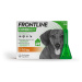 Frontline Combo Spot on Dog 2-10kg pipeta 3x0.67ml