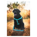 Vsepropejska Fugas postroj pro psa s vodítkem Barva: Černá, Obvod hrudníku: 53 - 83 cm