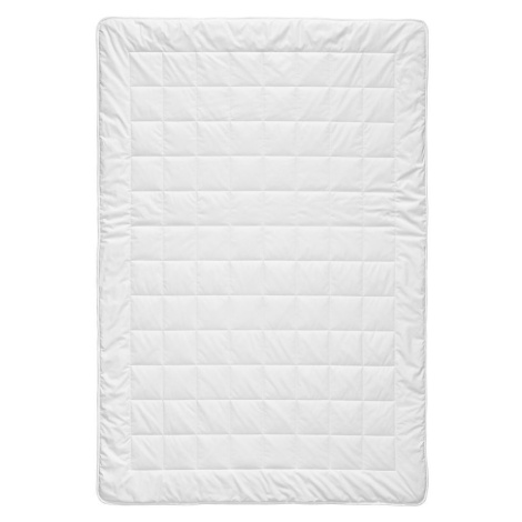 Billerbeck LETNÍ PŘIKRÝVKA cm, polyester, bambus