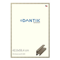 DANTIK rámeček 42 × 59,4, ALU profil 6220 champagne plexi čiré