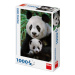 Puzzle 1000 dílků: Pandí rodina