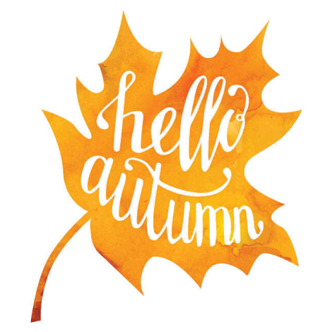 Ilustrace Vector illustration with lettering Hello autumn, aninata, (35 x 40 cm)