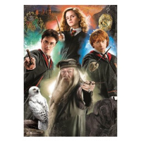 EDUCA Harry Potter 500 dílků