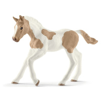 Schleich 13886 Hříbě plemene Paint Horse