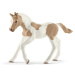 Schleich 13886 Hříbě plemene Paint Horse