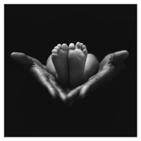 Fotografie A little miracle, Sebastien	DEL GROSSO, (40 x 40 cm)