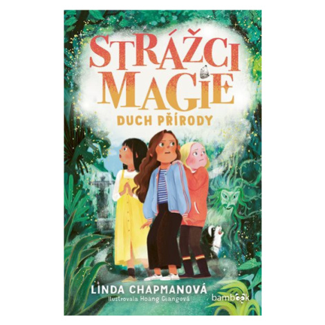 Kniha: Strážci magie – Duch přírody od Chapmanová Linda bambook