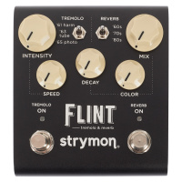 Strymon Flint V2