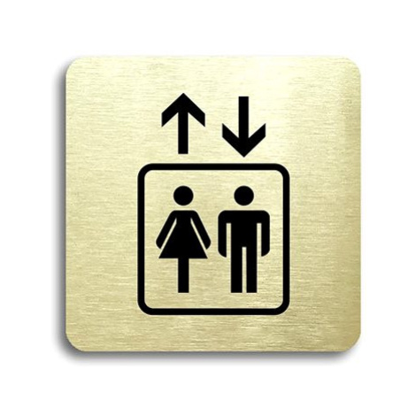 Accept Piktogram "výtah" (80 × 80 mm) (zlatá tabulka - černý tisk bez rámečku)