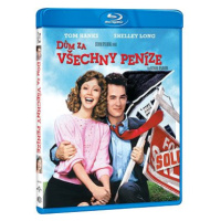 Dům za všechny peníze - Blu-ray