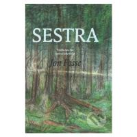 Sestra - Jon Fosse - kniha z kategorie Beletrie pro děti