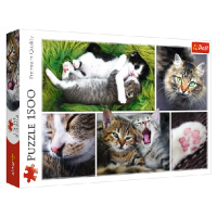 TREFL Puzzle Kočičí záležitost 1500 dílků