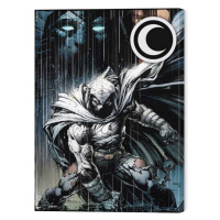 Obraz na plátně Moon Knight - The Moon God, 2 - 30×40 cm