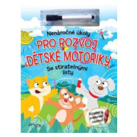 Nenáročné úkoly pro rozvoj dětské motoriky - kniha z kategorie Úkoly pro děti