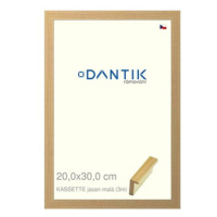 DANTIK rámeček 20 × 30, KASSETTE jasan malý sklo čiré