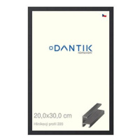 DANTIK rámeček 20 × 30, ALU profil 6220 Černý matný sklo čiré