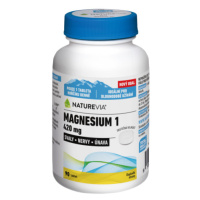 Naturevia Magnesium 1 420mg Tbl.90