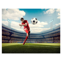 Umělecká fotografie Soccer player kicking ball in stadium, Dmytro Aksonov, (40 x 30 cm)