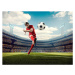 Fotografie Soccer player kicking ball in stadium, Dmytro Aksonov, 40x30 cm