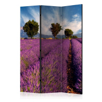 Paraván Lavender field in Provence, France Dekorhome 225x172 cm (5-dílný)