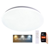 Brilagi Brilagi - LED Stmívatelné stropní svítidlo SMART LED/24W/230V Wi-Fi Tuya + DO