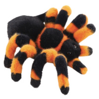 Pavouk tarantule 18 cm