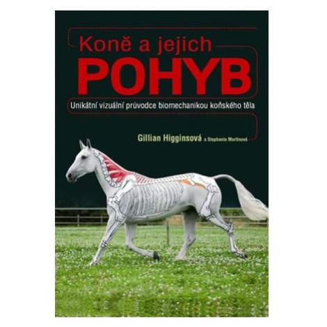 Koně a jejich pohyb Metafora